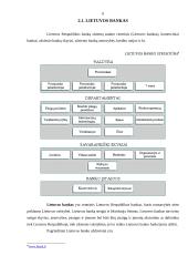 Bankų vaidmuo rinkos ekonomikoje 6 puslapis