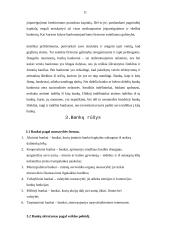 Bankų vaidmuo dabartinėje rinkos ekonomikoje 11 puslapis