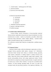 Bankų vaidmuo dabartinėje rinkos ekonomikoje 12 puslapis