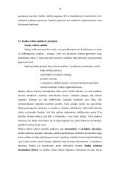 Bankų vaidmuo dabartinėje rinkos ekonomikoje 16 puslapis