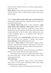 Bankų vaidmuo dabartinėje rinkos ekonomikoje 17 puslapis