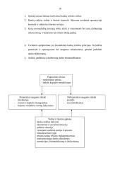 Bankų vaidmuo dabartinėje rinkos ekonomikoje 18 puslapis