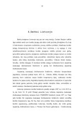 Bankų vaidmuo dabartinėje rinkos ekonomikoje 19 puslapis