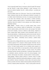 Bankų vaidmuo dabartinėje rinkos ekonomikoje 5 puslapis