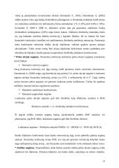 Bankų vertės nustatymas 13 puslapis