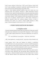 Bankų vertės nustatymas 6 puslapis