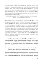 Bankų vertės nustatymas 10 puslapis