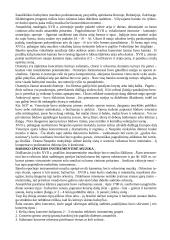 Barokas ir opera 3 puslapis