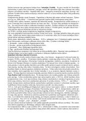 Barokas ir opera 4 puslapis