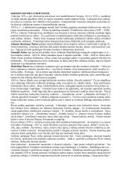 Barokas ir opera 6 puslapis