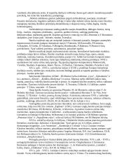 Barokas. Romantizmas. Realizmas 2 puslapis