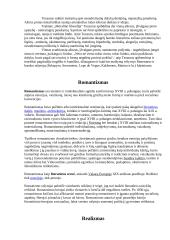 Barokas. Romantizmas. Realizmas 4 puslapis