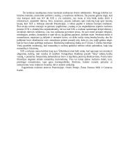 Barokas. Romantizmas. Realizmas 5 puslapis