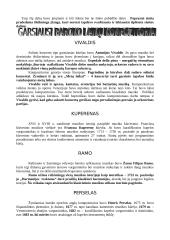 Baroko laikotarpio muzika 5 puslapis