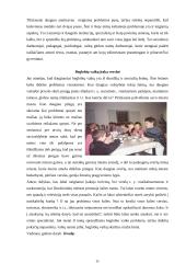 Beglobių vaikų situacija Lietuvoje 10 puslapis