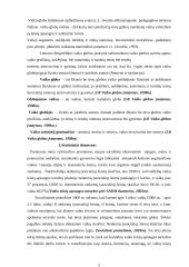 Beglobių vaikų situacija Lietuvoje 4 puslapis