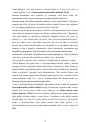 Beglobių vaikų situacija Lietuvoje 7 puslapis