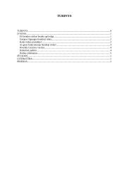 Bendra rinka 2 puslapis