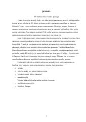 Bendra rinka 3 puslapis