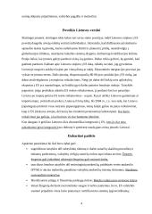 Bendra rinka 6 puslapis