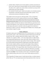 Bendra rinka 7 puslapis