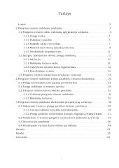 Piniginio vieneto stabilumo problema Lietuvoje