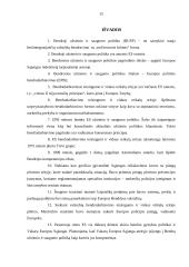 Bendra užsienio ir saugumo politika 15 puslapis