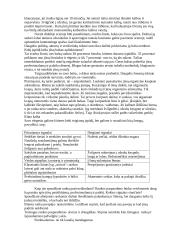 Bendravimo kultūra ir geros manieros 16 puslapis