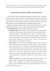 Bendrinė kalba visuomenėje 11 puslapis