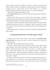 Bendrinė kalba visuomenėje 13 puslapis