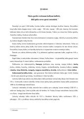 Bendrinė kalba visuomenėje 3 puslapis