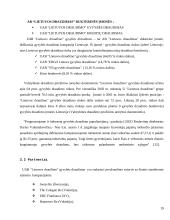 Bendroji įmonės analizė: gyvybės draudimas UAB "Lietuvos draudimas" 15 puslapis