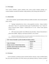 Bendroji įmonės analizė: gyvybės draudimas UAB "Lietuvos draudimas" 17 puslapis