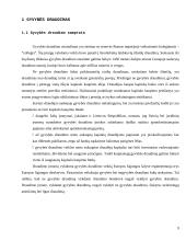 Bendroji įmonės analizė: gyvybės draudimas UAB "Lietuvos draudimas" 5 puslapis