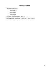 Bendroji transporto politika 11 puslapis