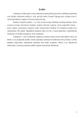 Bendroji transporto politika 3 puslapis