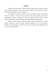 Bendroji transporto politika 10 puslapis