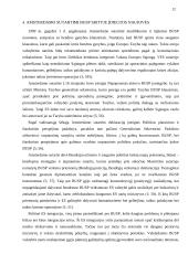 Bendroji užsienio ir saugumo politika 12 puslapis