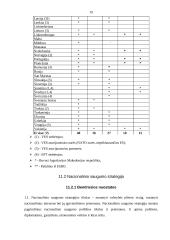 Bendroji ES užsienio ir saugumo politika 19 puslapis