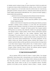 Bendroji ES užsienio ir saugumo politika 8 puslapis