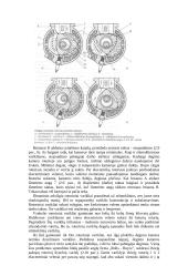 Bendros žinios apie variklius 11 puslapis