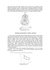 Bendros žinios apie variklius 12 puslapis