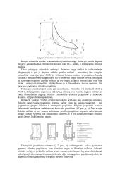 Bendros žinios apie variklius 8 puslapis