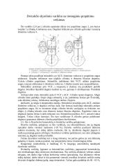 Bendros žinios apie variklius 9 puslapis