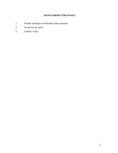 Bendrosios etinės nuostatos privalomos verslininkui 3 puslapis