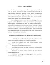 Bendrosios etinės nuostatos privalomos verslininkui 4 puslapis