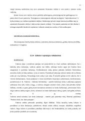 „Shell“ įmonės etikos kodeksas 11 puslapis