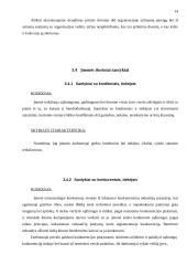 „Shell“ įmonės etikos kodeksas 14 puslapis