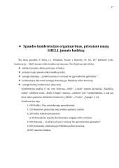 „Shell“ įmonės etikos kodeksas 17 puslapis