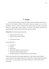 „Shell“ įmonės etikos kodeksas 18 puslapis